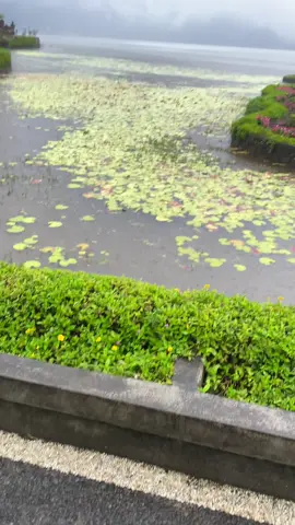 cakep bgt si bali🥹#vibesbali #bali #bedugulbali #bedugul #fypp 