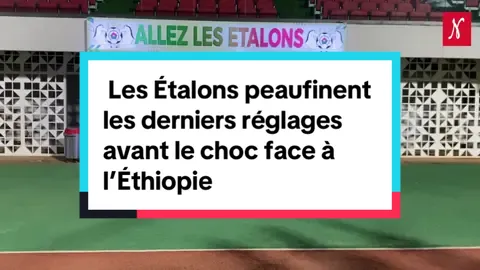 #Football Les Étalons peaufinent les derniers réglages avant le choc face à l’Éthiopie Les Étalons du Burkina Faso ont effectué leur séance d’entraînement au Stade du 4 Août, ce vendredi, à deux jours de la réception de l’Éthiopie, comptant pour la 10ᵉ journée des éliminatoires de la Coupe du Monde 2026. Pour leur deuxième match sur la pelouse du stade mythique de Ouagadougou, après sa réouverture, les hommes du sélectionneur Bama Traoré ont affiché une concentration exemplaire, un état d’esprit collectif solide et une rigueur qui traduit leur détermination à bien aborder cette rencontre décisive. Cette séance, ouverte au public et à la presse pendant, a permis d’observer une équipe soudée et à l’écoute des consignes. Le staff technique mettra à profit à cette occasion pour peaufiner les derniers ajustements tactiques avant le grand rendez-vous de dimanche. Sonia Nikiema #noorinfos noorinfos.com