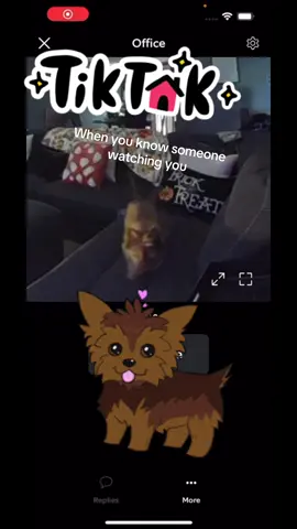 #dogsoftiktok #animalsofttiktok #terriersoftiktok #fyp #tiktok 