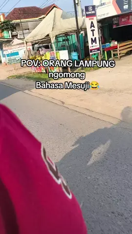#mesujilampung #sumatraselatan #lampungpride 