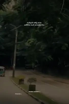 Attack 🙂💔#pasindu_kavinda #viralvideo #trending #fypシ゚viral #goviral 