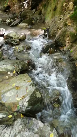 🏞️🌲🏞️#forouy #cascada #apa #valea #fenesului #alba 