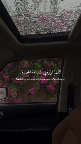 اللهم ثبت لنا قدم صدقٍ عندك مع الحسين 🤍.  #زيارة_عاشوراء #العراق #بغداد #كربلاء #fyp 