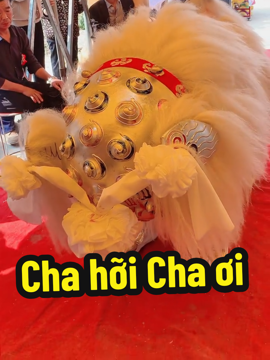 Trả lời @nguyenthibichthu88 Cha hỡi Cha ơi #muasututuyet #sutu #muasututrang #sututuyet #trending #xuhuong 