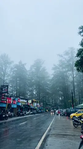 Malino dengan kabutnyaa😍 #malino #lewatberanda #fyp #vibeshujan #alam 