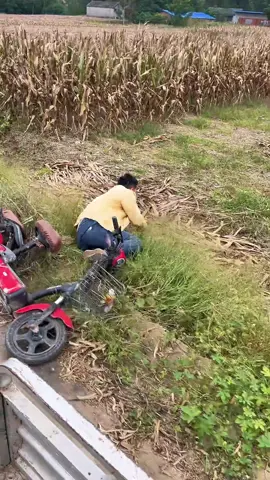 #funnyvideo 