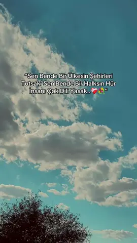 𝐒𝐓𝐎𝐑𝐘𝐋İ𝐊 | 𝐒ö𝐳 𝐁ı𝐫𝐚𝐤…❤️‍🩹🕊️ #keşfet #keşfettiktok #anlamlısözler #storylikpaylaşımlar #tiktokindia 