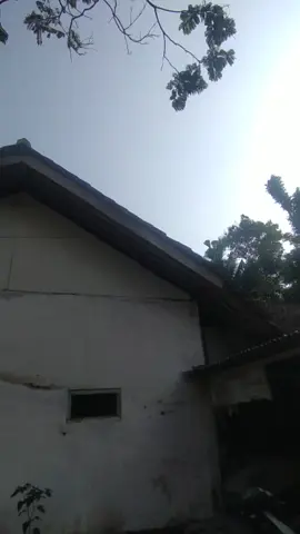 #sonictasik🏴‍☠️ #4upage #sonicthehedgehog #wededededed #sonickpm🇺🇦 