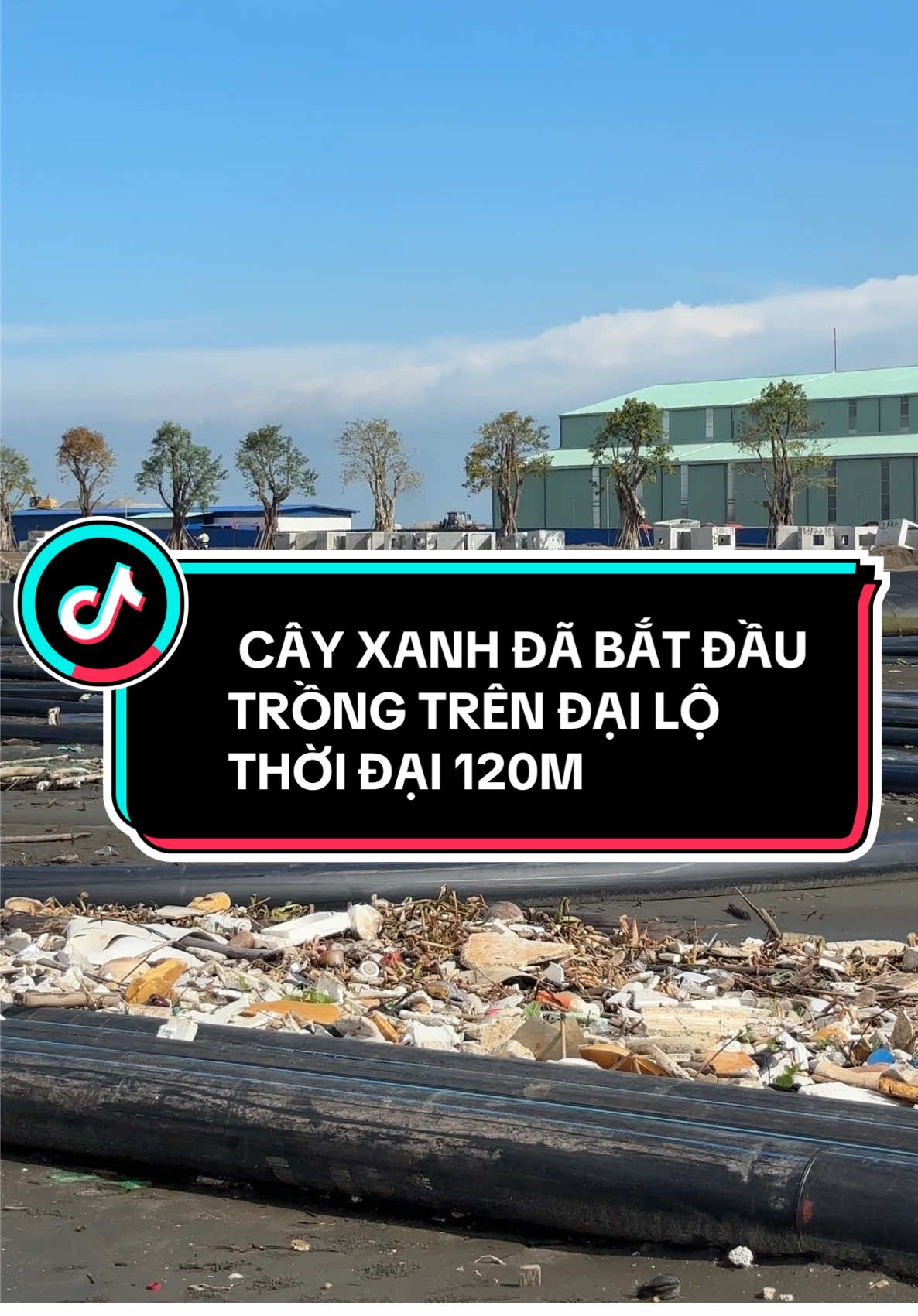 Bắt đầu trồng cây xanh trên Đại Lộ Thời Đại 120m rồi, nhanh không tưởng ✍️ #vinhomesgreenparadise #vinhomes #VinhomesCanGio 