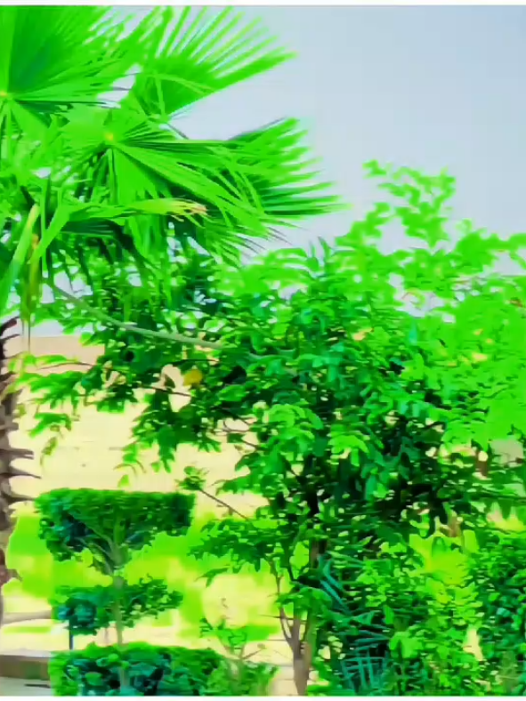 نکلےہے وہ لوگ میری شخصیت بگاڑنے کردار جن کا خود مرمت مانگ رہا ہے #attitudepoetry💪😎for_you #viralmypoetryvideo @Tiktokpakistanoffical @tiktok creators 