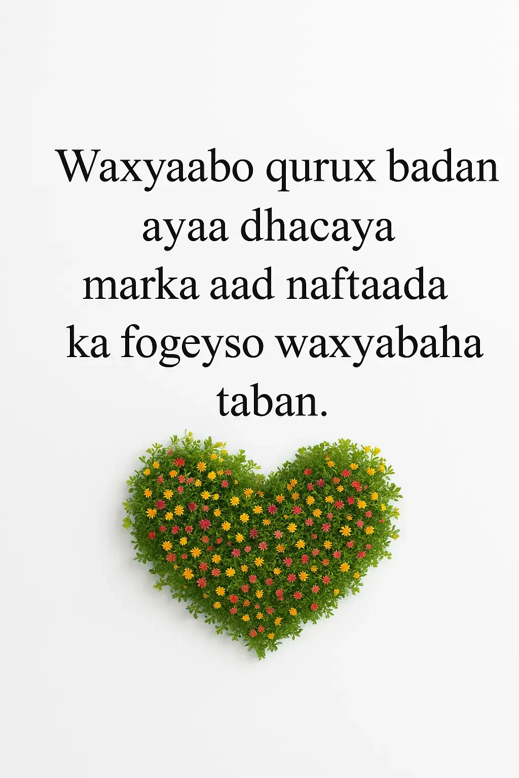 Nolosha mar walba waxay inoo keentaa xaalado kala duwan — qaar na farxad geliya, qaarna nagu rida daal iyo niyad-jab. Laakiin hal sir ayaa jirta oo noloshaada si weyn u beddeli karta: ka fogow waxyaabaha taban. Marka aad go’aansato inaadan waqtigaaga ku lumin dadka, fikradaha, ama dhacdooyinka taban, waxaad fursad siisay maskaxdaada iyo qalbigaaga inay helaan deggenaansho iyo iftiin cusub. Waxaad bilaabaysaa inaad aragto quruxda nolosha, xitaa meelaha ay dadku arkaan madow. Qofka togan (positive) ma aha mid noloshiisu tahay mid qumman, balse waa qof bartay inuu diiradda saaro wanaagga, xitaa marka xaaladdu adag tahay. Marka aad xakameyso fikirkaaga, waxaad xakameysay noloshaada. Sida ubaxa wadnaha sawirka ku yaal — marka uu ka baxo meel nadiif ah oo iftiin leh, wuxuu muujinayaa qurux iyo farxad. Adigana, marka aad ka fogaato waxyaabaha taban, gudahaaga ayaa ubaxyo cusub ka bilaabanaya. Farriin: Ha u oggolaan wax taban inay kaa xadaan nabaddaada iyo farxaddaada. Quruxda dhabta ah ee nolosha waxay bilaabataa marka aad naftaada ilaaliso oo aad ku noolaato tamar togan.