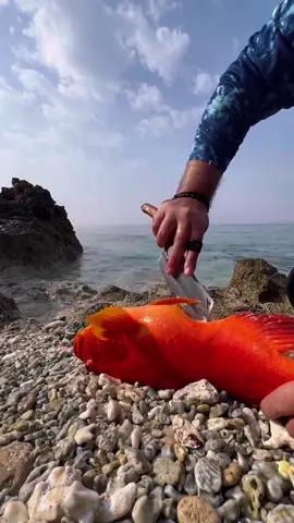 Steamed Fish, Grilled Octopus, Beef Steak. Outdoor Cooking #Outdoors #outdoorcooking #fishing #octopus #foryou 