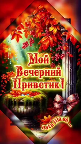 #добрыйвечер #хорошеговечера #приятноговечера 