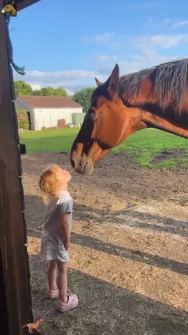 The adorable moments of horses and human babies🥰#warm #horse#MyBabyAndTheHorse #SweetConnection #heartwarmingmoments