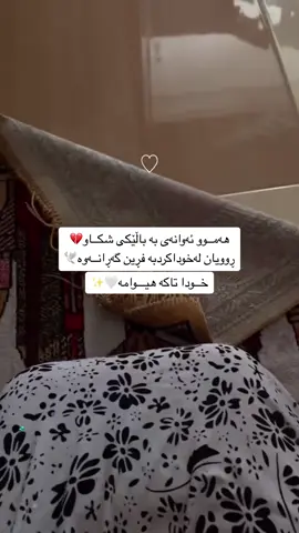 #الحمدلله_دائماً_وابداً #allah❤️ #cat  