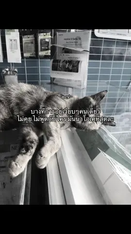 #เธรด #เธรดเศร้า #เธรดความรู้สึก #ยืม#ฟีดดดシ 