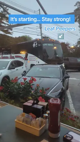 Welcome to #Maine 🤷‍♂️ #TouristSeason #mainecheck #MaineGang #MaineTok