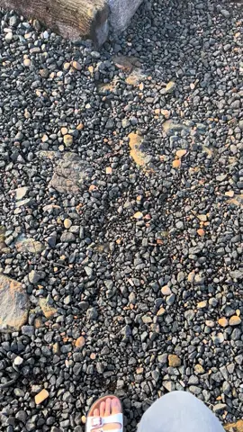 Masyaallah lautan awan #tahurasultanadammandiangin #tahurasultanadam #fypシ゚viral #banjarbaru #fypシ゚viral #kalimantanselatan 