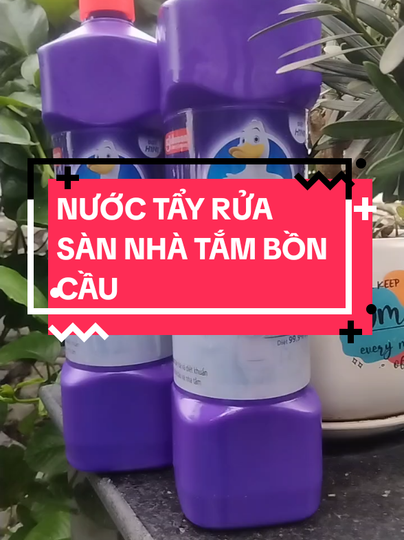 Combo 2 chai nước tẩy sàn nhà vệ sinh bồn cầu giá rẻ DUCKS #xuanthao #nuoctayruasannhavesinhboncau #dogiadung #xuhuongtiktok @Xuân Thảo 