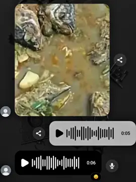 আহারে মাছগুলো মারা গেল.! 🙂 #fyp #fyppppppppppppppppppppppp #foryoupage #viral #unfrezzmyaccount @TikTok Bangladesh 