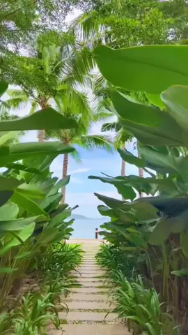 Bãi biển Nha Trang — một trong ba bãi biển đẹp nhất Việt Nam 🌊☀️ Nước biển xanh ngọc, cát trắng mịn như dải lụa, từng con sóng vỗ về bờ cát trong nắng vàng lấp lánh… nơi đây mang nét đẹp vừa nhiệt đới vừa dịu dàng, khiến ai ghé qua cũng say mê chẳng muốn rời 💙🌴 #NhaTrang #DuLịchViệtNam #BiểnĐẹpViệtNam #VlogHằngNgày #BãiBiển #VẻĐẹpĐôngNamÁ #BeachVibes 🐚✨