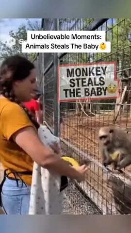 Unbelievable Moments: Animals Steals The Baby👶#fail #funnyvideo #foryou #viral 