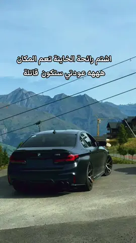 #الذئب_الوحيد #الدولة_العميقة #المافيا_السوداء🕸🖤 #اكسبلورexplore #الذئاب_وحياةالجبال 