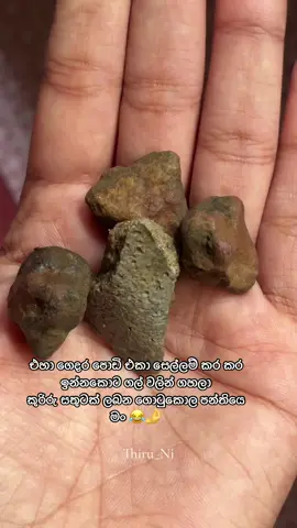 අම්මොහ් මට බෑ අප්පා...😂