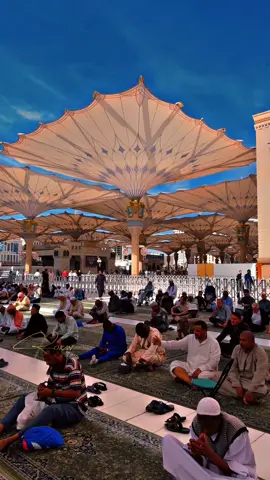 #المدینہ_🕋المنورہ_مسجد🕋_نبوئ #المؤذن_محمد_مروآن_قصاص #العمرة🕋 