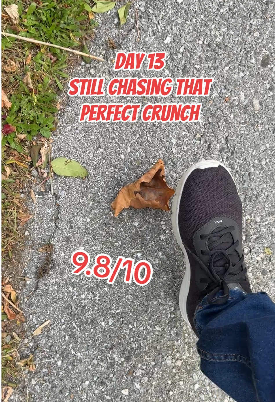 Leaf of the day 🏆