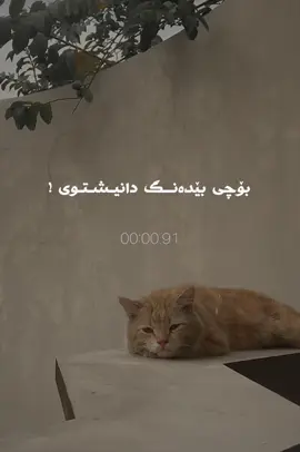 #بۆچی_بێدەنگ_دانیشتووی_یادی_خوا_بكە❤️ #foryou #foryoupage #quran #viral 