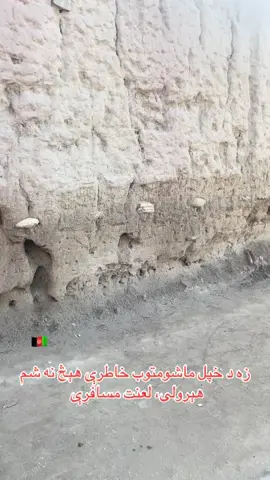 #Afg#افغانستان 🇦🇫 