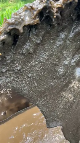 rego nulis dewe.#fypp #pasirblitar #kalibladakblitar 