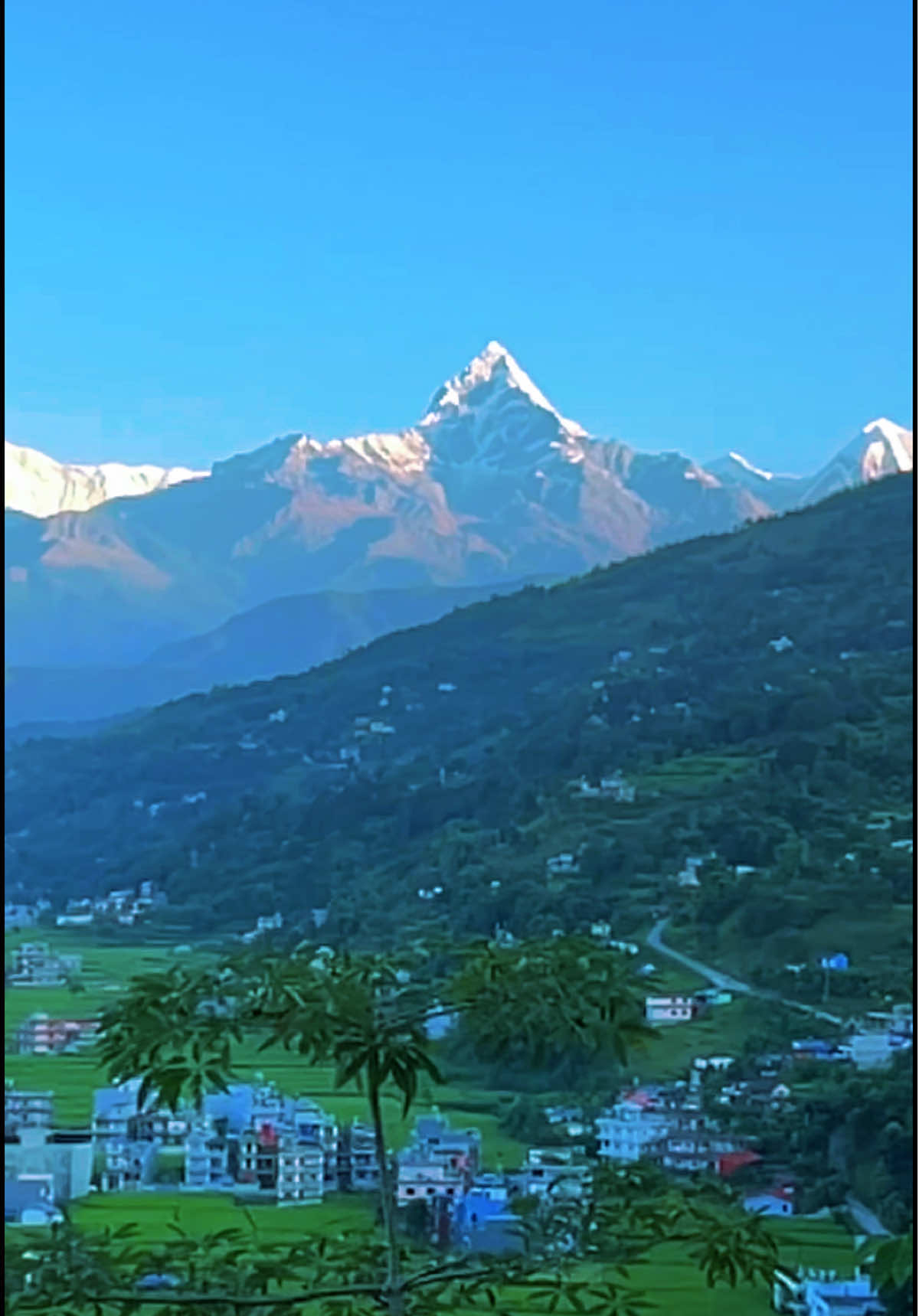 #creatorsearchinsight #himalaya प्राकृतिक उपहार।