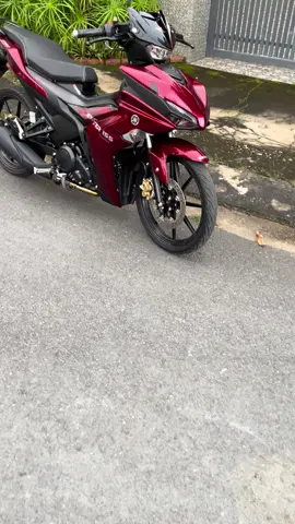 đơn giản 😍 #xuhuong #ex155 #ex155vva #xedovietnam #59ZB_13504 