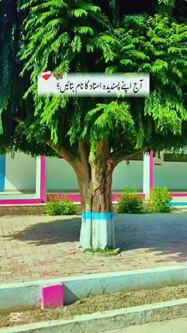 ❤‍🩹🦋#foryou #aroti 