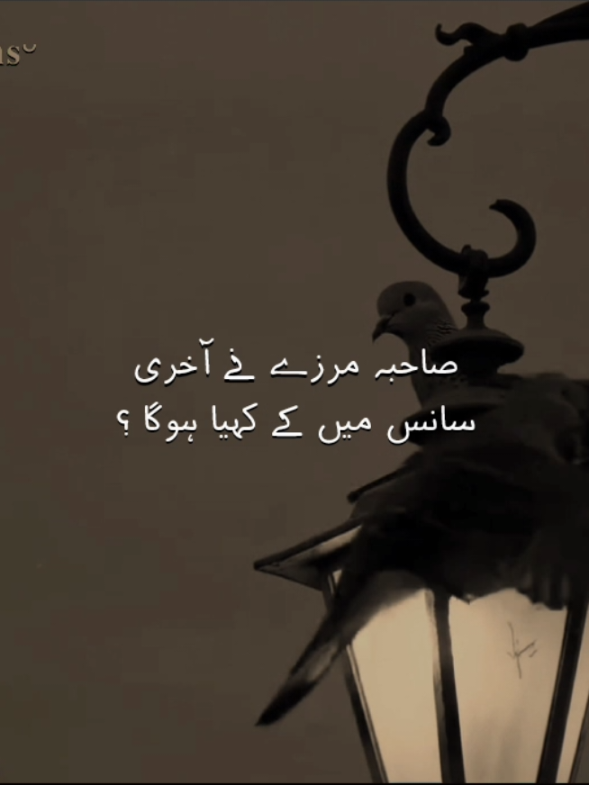 لوگو رے عشق نہ کریو ۔۔ #illegurl_v #fyp #viral #unfreezemyacount #trending 