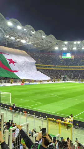 #algeria #dz #fifaworldcup #foryou #viral 