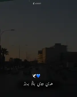 #CapCut #سلێمانی #هەولێر_سلێمانی_دەهۆک_ڕانیه_کەرکوک 