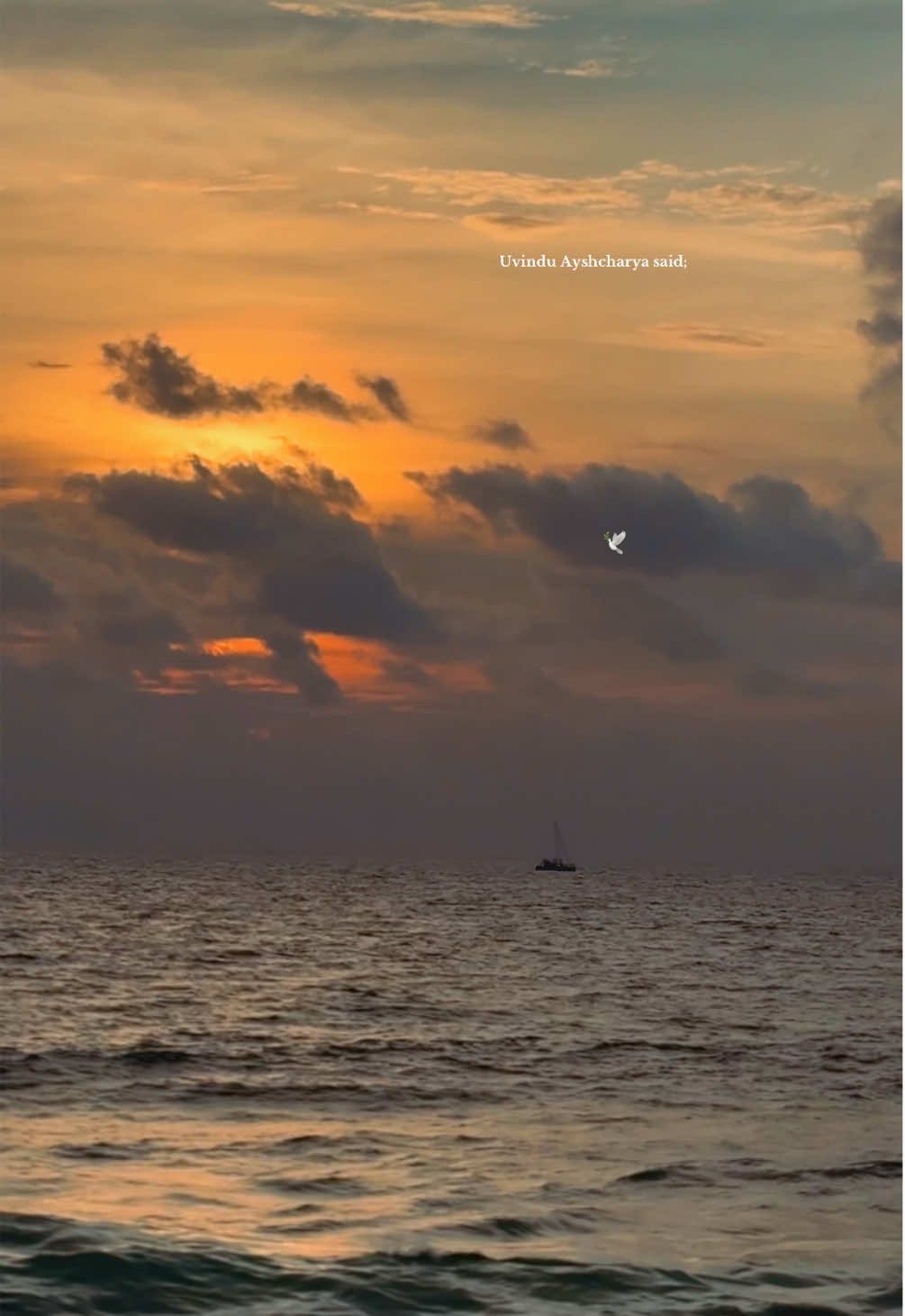 මේ හිත සනසා! 🕊@Uvindu Ayshcharya @vinoli_dissanayaka #trendingsong #foryoupage #clouds #1millionviews #fypシ゚ . . .    @d1zz.ranthu!🌬️🪬 @~Just.Nethuja🕷~ @sphynx @K”🪬 @Deneth Fdo☠️🍺🎶 @MALINDU🪭” @C H A M I ☀️ 