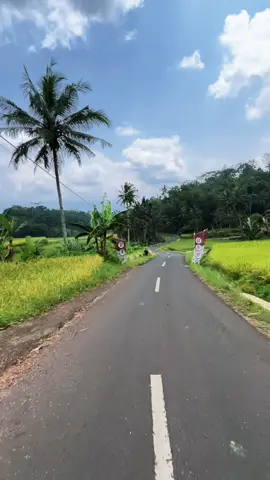Seger mata disuguhin hijau hijauu kee giniiiiiii💆🏻‍♀️🍃🌱#CapCut #pemandanganalam #panjalu 
