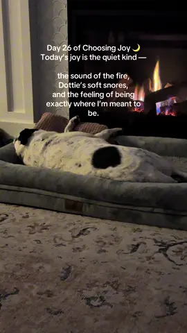 Day 26 of Choosing Joy ✨ — today’s joy is the quiet kind. The sound of the fire, Dottie’s soft snores, and the feeling of being exactly where I’m meant to be. #ChoosingJoy #PeacefulMoments #WeekendJoy #LifeWithDottie #FindingJoy