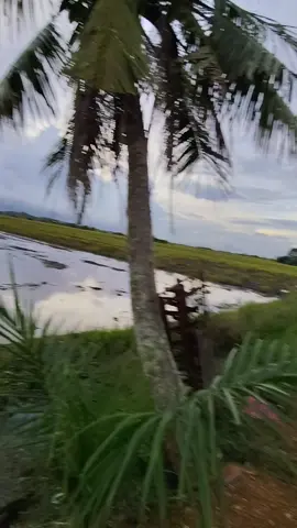 #sahabatselamanya🤝♥️ #katakatamotivasi #mukabelemoih #tiktok #fyp @MUKA BELEMOIH 