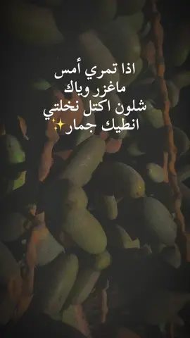 #اليوسفية #تصويري_احترافي_الاجواء👌🏻🕊😴 #نخله_زرعتها_بتعب #fyppppppppppppppppppppppp 