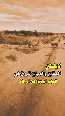 #tiktok #عبارات #اكسبلور 