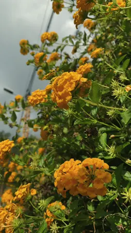 أوعك تخاف انك تخسر ناس  #تصويري_احترافي_الاجواء👌🏻🕊😴  #اغاني  #لبنان #foryoupage #مشاهير_تيك_توك 