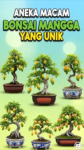 Mengenal Bonsai Mangga Yang Unik #sumberbelik #tiktokviral #videoviral 