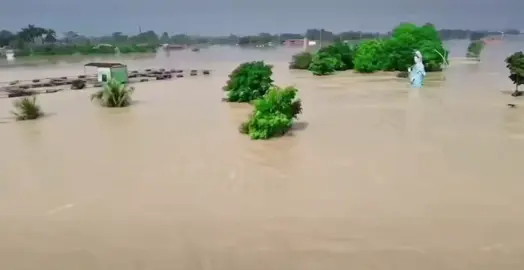 MẸ QUAN THẾ ÂM TẠI CHÙA LINH QUANG, MAI HẠ, HIỆP HOÀ, BẮC GIANG, VẪN SỪNG SỮNG GIỮA DÒNG NƯỚC LŨ. CHÚNG CON HIỂU RẰNG, VỚI LÒNG TỪ BI VÔ LƯỢNG CỦA MẸ CHE CHỞ, DÙ GIÔNG BÃO CÓ DỮ DỘI ĐẾN ĐÂU, CHÚNG CON VẪN SẼ LUÔN VỮNG TÂM, MẠNH MẼ, ĐOÀN KẾT VÀ YÊU THƯƠNG NHAU ĐỂ CÙNG VƯỢT QUA MỌI KHÓ KHĂN.  MẸ CHÍNH LÀ CHỖ DỰA TINH THẦN VÔ GIÁ, LÀ NIỀM HY VỌNG ẤM ÁP CHO CHÚNG CON GIỮA NHỮNG CƠN HOẠN NẠN.  🪷 Giữa dòng nước lũ cuồn cuộn, hình ảnh Mẹ Quán Thế Âm trong chiếc áo choàng xanh biếc hiện lên uy nghi và trầm tĩnh, càng thêm nổi bật và thiêng liêng. Khi nhìn thấy cảnh tượng này, lòng chúng con không khỏi dâng lên nỗi xót xa sâu sắc: xót cho sự tàn phá của thiên nhiên, xót cho những gian truân mà bao người dân khắp nơi đang phải chịu đựng, và cảm nhận được rằng Mẹ Quán Thế Âm cũng như đang đồng cảm, thấu hiểu sự gian khó ấy cùng muôn dân. 🪷 Thế nhưng, chính khoảnh khắc Mẹ Quan Thế Âm vẫn đứng đó, tay cầm bình cam lộ, với gương mặt từ bi và an nhiên, không hề nao núng, đã trở thành một ngọn hải đăng rực sáng trong tâm hồn chúng con. Dù dòng nước có hung dữ đến đâu, Mẹ vẫn kiên định, vững vàng như một lời hứa không lời: “Mẹ luôn ở đây.” Nhờ có Mẹ, mọi nỗi lo âu và sợ hãi dường như tan biến. 🪷 Chúng con hiểu rằng, với lòng từ bi vô lượng của Mẹ che chở, dù giông bão có dữ dội đến đâu, chúng con vẫn sẽ luôn vững tâm, mạnh mẽ, đoàn kết và yêu thương nhau để cùng vượt qua mọi khó khăn. Mẹ chính là chỗ dựa tinh thần vô giá, là niềm hy vọng ấm áp cho chúng con giữa những cơn hoạn nạn. ST Nam Mô Đại Từ Đại Bi Cứu Khổ Cứu Nạn Linh Cảm Ứng Quán Thế Âm Bồ Tát 🙏🏻🙏🏻🙏🏻 #chualinhquang #botat #lulut #baolu #mua 