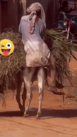 aaaaann #viral #fyp #foryou #foryoupage 