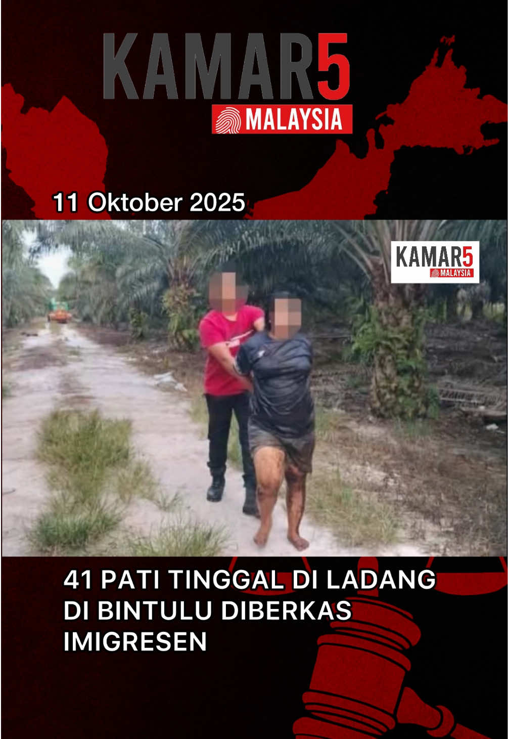 11 Oktober 2025: BINTULU – Bahagian Penguatkuasaan Jabatan Imigresen Malaysia (JIM) Negeri Sarawak telah melaksanakan satu siri Operasi Bersepadu di beberapa ladang sekitar kawasan Bintulu yang disyaki menjadi lokasi penempatan dan pekerjaan warga asing tanpa izin (PATI) pada 10 Oktober. Operasi tersebut melibatkan tiga cawangan utama iaitu Unit Pemantauan Keselamatan dan Penguatkuasaan (UPKP), JIM Sarikei, dan JIM Bintulu, yang memainkan peranan strategik dalam pelaksanaan tindakan penguatkuasaan di lapangan. Operasi yang dikordinasikan sepenuhnya oleh UPKP ini dijalankan hasil risikan berterusan oleh Unit Penguatkuasaan JIM Sarawak. Serbuan tertumpu di tiga lokasi utama iaitu Ladang Zion, Ladang Primula, dan Ladang Datai, melibatkan penyertaan seramai 21 pegawai penguat kuasa. Hasil serbuan bersepadu tersebut berjaya menahan 41 orang warganegara Indonesia, terdiri daripada 26 lelaki dan 15 perempuan. Siasatan awal mendapati kesemua mereka tidak memiliki dokumen perjalanan atau permit kerja yang sah untuk berada di Malaysia. Kes disiasat di bawah Seksyen 6(1)(c) Akta Imigresen 1959/63 kerana gagal mengemukakan dokumen perjalanan yang sah, serta Seksyen 15(1)(c) akta yang sama kerana tinggal melebihi tempoh yang dibenarkan. Semua tahanan telah dibawa ke Depot Tahanan Imigresen untuk tindakan lanjut. Bahagian Penguatkuasaan JIM Sarawak menegaskan bahawa usaha membanteras lambakan PATI akan terus dipertingkat melalui operasi bersasar dari semasa ke semasa. Jabatan turut menyeru orang awam agar menyalurkan maklumat berkaitan keberadaan atau aktiviti PATI melalui saluran rasmi jabatan. Kerjasama masyarakat amat penting dalam memperkukuh kawalan imigresen serta memastikan kesejahteraan, keselamatan, dan kestabilan sosioekonomi negeri terus terpelihara. (Sumber: JABATAN IMIGRESEN MALAYSIA SARAWAK)